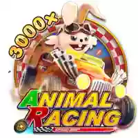 ANIMAL RACING