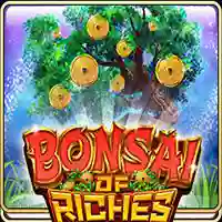 Bonsai of Riches